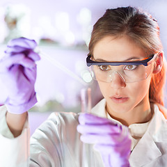 Image showing Young scientist pipetting in life science laboratory.