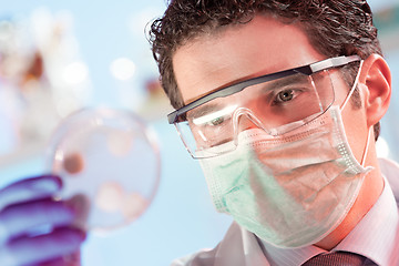 Image showing Life science researcher observing cells in petri dish.