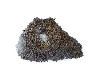 Image showing stone from the mountains tundra on a white background