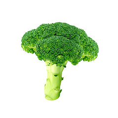 Image showing Broccoli