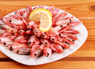 Image showing seafood shrimp bake in white plate