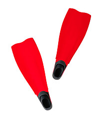 Image showing red Flippers