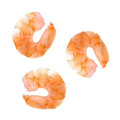 Image showing shrimps isolated 