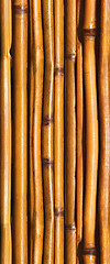 Image showing Japanese bamboo background