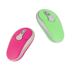 Image showing Computer mouses for women