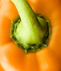 Image showing yellow paprika close up