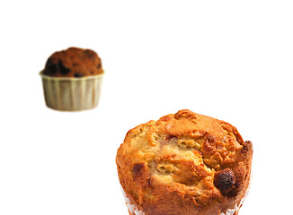 Image showing Blueberry Muffins