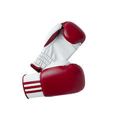 Image showing Boxing gloves