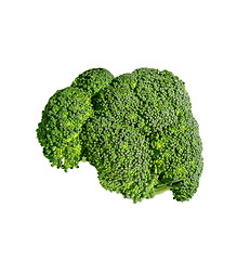 Image showing Broccoli isolated