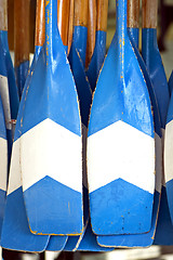 Image showing Rowers