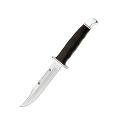 Image showing hunter combat knife 