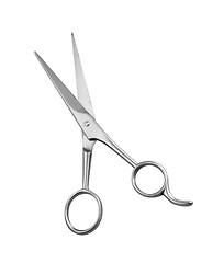 Image showing Professional Haircutting Scissors