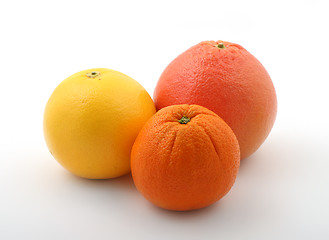 Image showing citric fruits