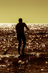 Image showing Silhouette paddle board surfer