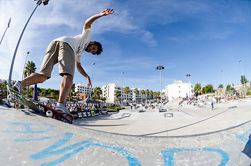 Image showing Pedro Roseiro