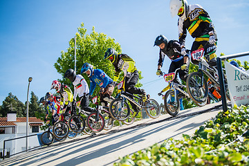 Image showing Racing start during trainings