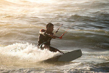 Image showing Kitesurfer 