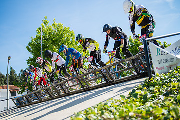 Image showing Racing start during trainings