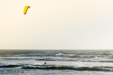 Image showing Kitesurfer 