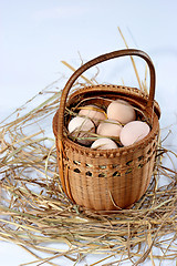 Image showing eggs on a bed of straw