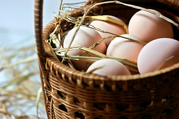 Image showing eggs