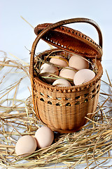 Image showing eggs on a bed of straw