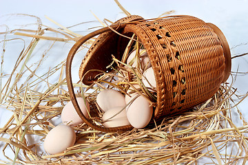 Image showing eggs on a bed of straw