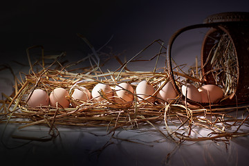 Image showing eggs on a bed of straw