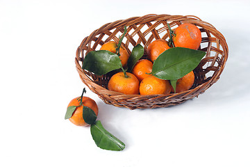 Image showing mandarin on basket