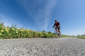 Image showing Cyclist