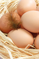 Image showing Brown Eggs with Feather