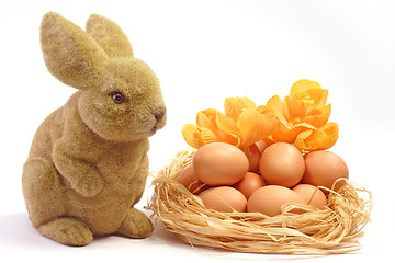 Image showing Easter Bunny