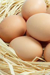 Image showing Fresh Brown Eggs