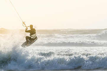 Image showing Kitesurfer 