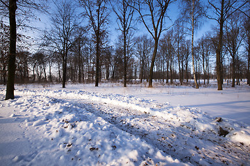 Image showing the winter road  