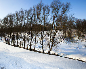 Image showing winter forest  