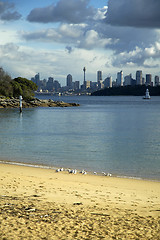 Image showing sydney in distance