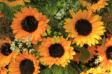 Image showing Sunflowers