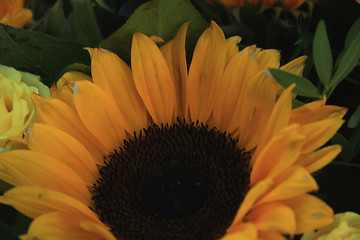 Image showing Yellow bridal arrangement