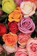 Image showing Multicolored wedding roses