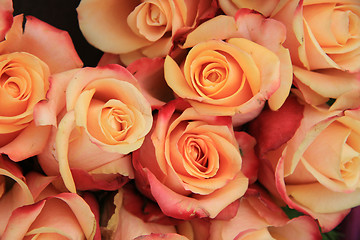 Image showing Multicolored wedding roses