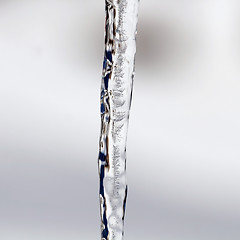 Image showing Icicles