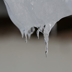 Image showing Icicles