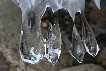 Image showing Icicles