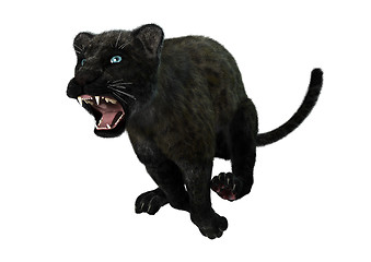 Image showing Big Cat Black Panther