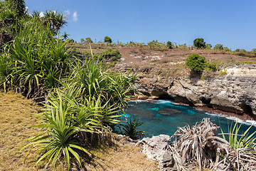 Image showing coastline at Nusa Penida island