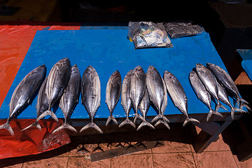 Image showing fresh fish on traditional market