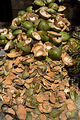 Image showing empty shels of fresh coconuts in the market