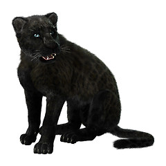 Image showing Big Cat Black Panther