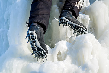 Image showing Ice climbing competition in Tyumen. Russia